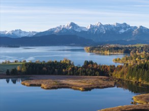 View of a lake with mountains in the background and autumn vegetation, Illasbergsee, Forggensee,