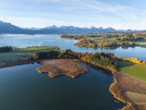 Clear lake with surrounding colorful autumn forests and the Alps in the background, Illasbergsee,
