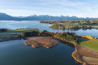Wide landscape with calm lake and colorful trees against alpine backdrop, Illasbergsee, Forggensee,