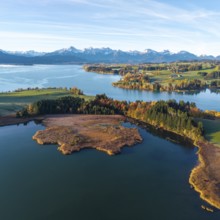 Large lake in autumn surroundings with the Alps in the distance under clear skies, Illasbergsee,