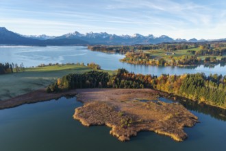 Autumn landscape with a lake surrounded by trees and mountains, Illasbergsee, Forggensee, near