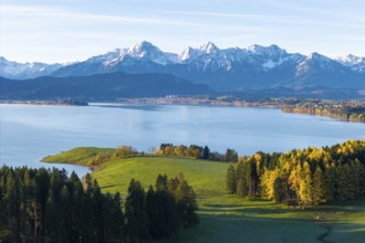Tranquil alpine landscape with wooded hills, lake and snow-capped mountains in the background