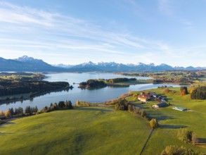 Green meadows and a farm on the shore of a lake with mountains in the background, Illasbergsee,