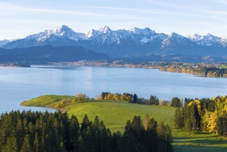 Green hills and forests with Alps in the background under blue sky on the shores of a lake,