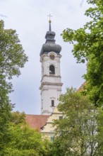 A tall church tower rises above the treetops, dominates the cloudy sky, ZFP Zwiefalten, Reutlingen