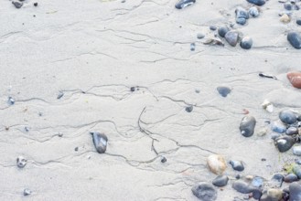 Pattern in sand with scattered stones on a quiet sandy beach, drainage channels, runoff water,