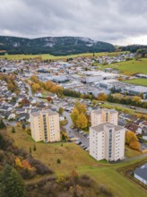 City view with skyscrapers and autumn trees under cloudy sky, Wehingen, Tuttlingen district,