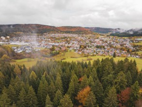 View over a colorful autumn forest to a distant city, surrounded by colors and hills under gray