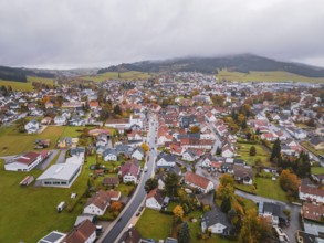 Urban landscape with a dense network of houses, surrounded by autumnal nature and hills, Wehingen,