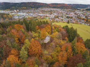Autumn forest with observation tower above a village on hills, Wehingen, Tuttlingen district,