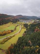 View of a curved road lined with colorful autumn leaves in hilly surroundings, Wehingen, Tuttlingen