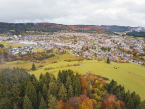 Village in autumn landscape with colorful trees and cloudy sky, Wehingen, Tuttlingen district,