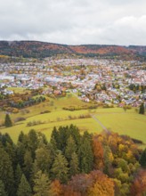 Village and surrounding landscape seen from above in vivid autumn colors, Wehingen, Tuttlingen