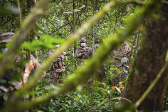 Soldiers, rangers in the jungle, guarding chimpases in the jungle, animal welfare, Kibale National