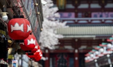 Red lanterns on Nakamise-dori shopping street, in the back the Hozomon Gate of Asakusa Shrine or
