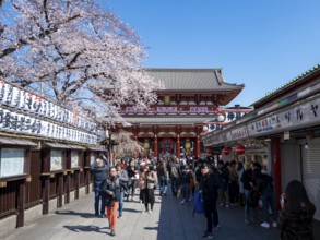 Nakamise-dori shopping street with lanterns, Hozomon Gate of Asakusa Shrine or Senso-ji Temple,