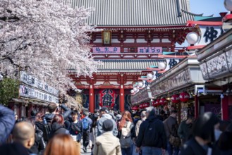 View of numerous visitors on Nakamise-dori shopping street with Hozomon Gate of Asakusa Shrine or