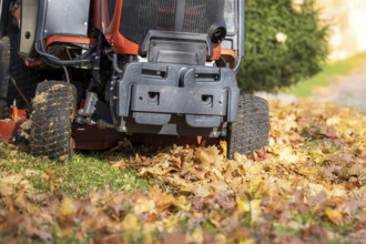 Removing leaves with a riding mower in a public park, Mutterstadt, Rheinland Pfalz