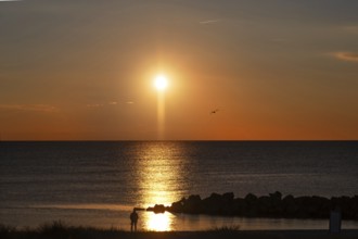 Sunset on the Baltic Sea with protective breakwaters, Darß, Ahrenshoop, Mecklenburg-Western