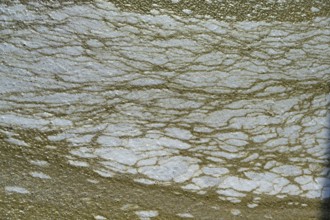 Structure of pollution in the port of Ahrenshoop, Darß, Baltic Sea, Mecklenburg-Western Pomerania,