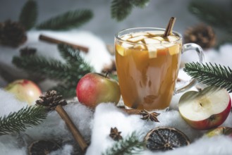 A glass of apple punch and apple pieces in a wintery setting