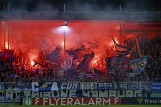 Bengalos, pyrotechnics, pyro, firecrackers, fan block, fans, fan curve, flags, atmosphere,