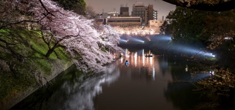 Chidorigafuchi Canal with rowboat in front of blooming illuminated cherry trees at night, castle