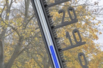 (photo montage) Thermometer in front of autumn-colored deciduous tree shows cool temperatures