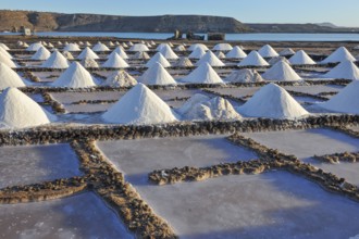 Small conical mounds of sea salt in historic saline for salt production Las Salinas de Janubio,