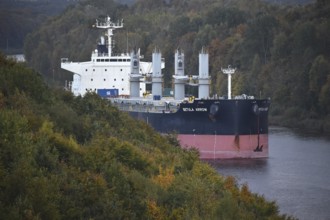 Freighter BETUAL ARROW sails in autumn in the Kiel Canal, NOK, Kiel Canal, Kiel Canal,