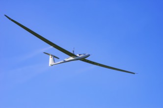 A Schempp-Hirth Nimbus 4M motor glider, D-KAOL registration, during a screening as part of an air