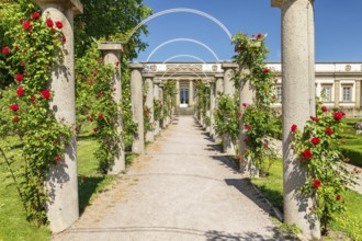 Rosengarten am Rosensteinmuseum, Rosensteinpark, Stuttgart, Baden-Württemberg Germany, Stuttgart,