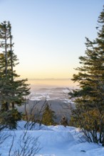 View from Mount Lusen over the hills of the bavarian forest at sunrise in winter, Bavaria, Germany