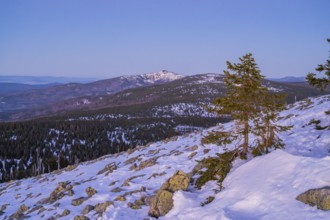 View from Mount Lusen over the hills of the bavarian forest at sunrise in winter, Bavaria, Germany