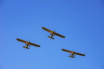 Three Piper PA-18 Super Cub aircraft from the Bravo Lima Formation flying group in formation flight