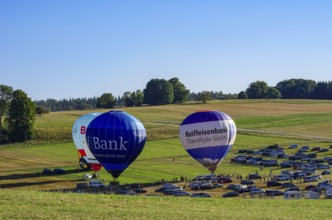 Hot air balloons are being prepared for takeoff as part of an air show at the Fliegerbergfest of
