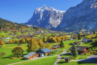 Autumn landscape with village overview and Wetterhorn 3690m, Grindelwald, Lütschinental, Bernese
