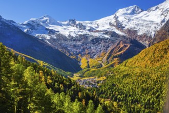 View of the village with Alalin 4027m and Alphubel 4206m in autumn, Saas-Fee, Saasertal, Valais,