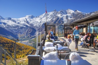 Mountain oyster terrace on Kreuzboden with Alphubel 4206m and Mischabel group 4545m in autumn,