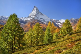 Autumn landscape near the Sunnegga with Matterhorn 4478m, Zermatt, Mattertal, Valais, Switzerland