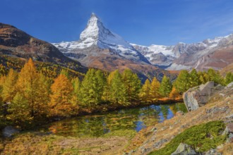 Matterhorn 4478 m above Lake Grindji in autumn, Zermatt, Mattertal, Valais, Switzerland