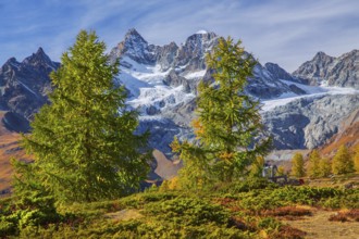 Autumn landscape on the Sunnegga with Zinalrothorn 4221m, Zermatt, Mattertal, Valais, Switzerland