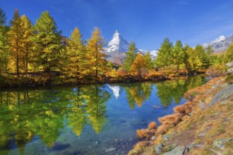 Matterhorn 4478 m with reflection in Lake Grindji in autumn, Zermatt, Mattertal, Valais,