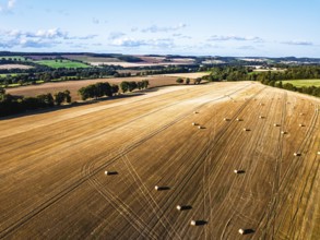 Straw bales in the Scottish fields from a drone, Southeast Scotland, UK
