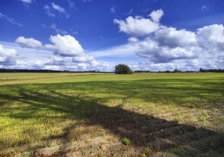 Cultural landscape, Sonnenberg municipality, Oberhavel district, Brandenburg, Germany