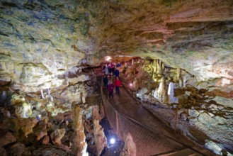Nebelhöhle, stalactite cave in the Swabian Jura, stalactites, stalactite forest, interior view,