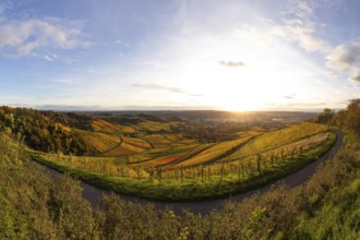 Extensive panorama of the vineyards on Kappelberg near Fellbach in warm evening light with views of