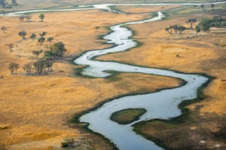 River landscape, idyllic river course, savanna, aerial view, Okavango Delta, Botswana