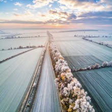 Bird Eye Perspective of Frost Covered Farmland. Seasonal Agricultural Scenery, winter and autumn