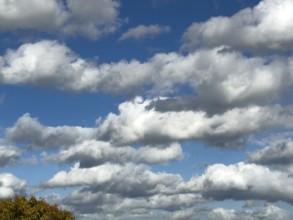 White clouds Cumulus and Stratocumulus driven by approaching storm cloudy against blue sky,
